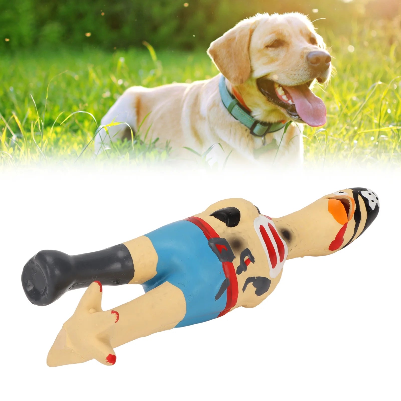Squeaky Chicken Dog Toys, Dog Toy Teeth Grinding Hand Painted Easy to Clean Bite Resistant for Dogs Pirate Chicken,Ok Chicken,Chef Chicken,Flying Chicken