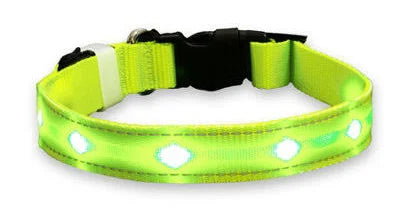 LED dog/cat collar - USB rechargable waterproof