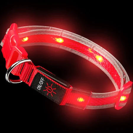 LED dog/cat collar - USB rechargable waterproof