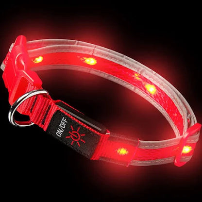 LED dog/cat collar - USB rechargable waterproof