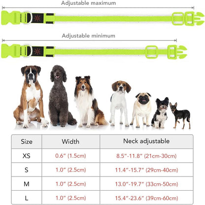 Light up Dog Collar, USB Rechargeable LED Puppy Collar Super Bright Adjustable Glowing Dog Lights for Night Walking (Green, Small)